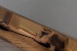 大胆坑神潜入体育馆女士换衣卫生间藏身在厕所内隔板缝中偸拍络绎不绝来方便的妹子们 截图15