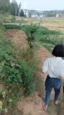 【艳艳子】山村反差少妇~!!无套啪啪~操到怀孕~三个月~~！家里车库偷偷播~自慰怕发现，农村集市，别有风味！ 截图4