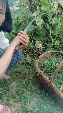 【艳艳子】山村反差少妇~!!无套啪啪~操到怀孕~三个月~~！家里车库偷偷播~自慰怕发现，农村集市，别有风味！ 截图11