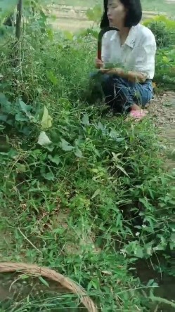 【艳艳子】山村反差少妇~!!无套啪啪~操到怀孕~三个月~~！家里车库偷偷播~自慰怕发现，农村集市，别有风味！ 截图13
