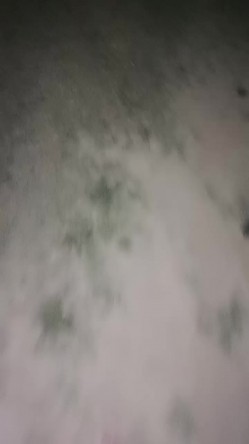 户外女神深夜开撩，勾搭夜钓大哥激情啪啪，露脸漏奶又漏逼，给逼逼注射性药抠到淫水泛滥，口交大鸡巴无套爆草 截图6