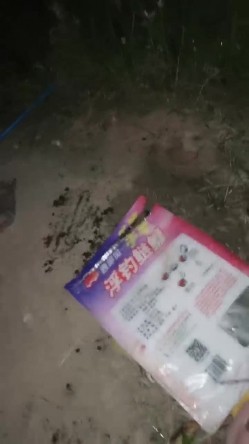 户外女神深夜开撩，勾搭夜钓大哥激情啪啪，露脸漏奶又漏逼，给逼逼注射性药抠到淫水泛滥，口交大鸡巴无套爆草 截图8