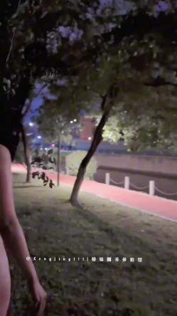 178模特犬刚入夜公园风骚露出，全是行人。刺激躲避。对面路上车辆壹览无余 截图12