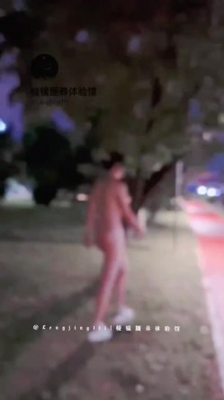 178模特犬刚入夜公园风骚露出，全是行人。刺激躲避。对面路上车辆壹览无余 截图14