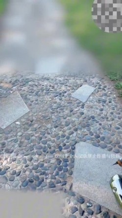 真实BDSM博主【狙心Dom】调教多位女奴SVIP付费福利 截图12