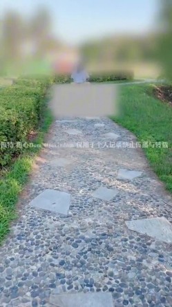 真实BDSM博主【狙心Dom】调教多位女奴SVIP付费福利 截图16