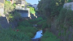 JUQ-660 新人 那賀崎ゆきね 30歳 AV DEBUT 駆け抜ける透明感、湧き上がる好奇心―。 截图1
