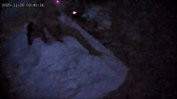 酒店偷拍 连续两天入住情侣气质甜美又身材不错的美女喜欢上位榨取男友精液 截图5
