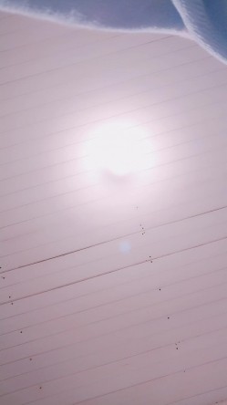 【漂亮眼睛新人美妞首播】小尺度诱惑，没穿内裤隔着黑丝露穴，翘起双腿掰穴，刚下海放不开，撩下内衣看下奶子 截图13
