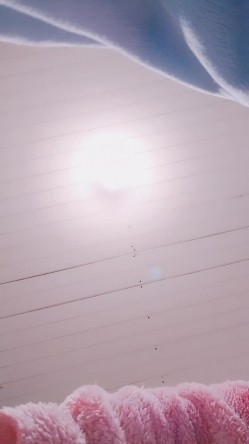 【漂亮眼睛新人美妞首播】小尺度诱惑，没穿内裤隔着黑丝露穴，翘起双腿掰穴，刚下海放不开，撩下内衣看下奶子 截图14