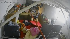 【极品稀缺 ️破解摄像头】极品服务员宿舍日常 ️小姐姐年轻美乳好坚挺 穿搭职业装制服很有气质 距离超近 高清1080P版 截图11