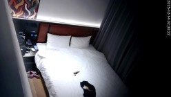 天眼酒店偷拍 ️校园情侣学妹身材很好肥臀Q弹性感闷骚型小妖精前戏和做爱特别投入1080P高清源码版 截图4