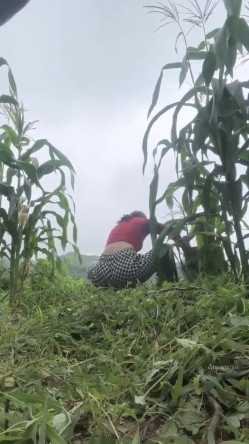 真实农村的孩子，【小陈陈】，玉米地干完活，自慰抠抠逼，寂静竹林中，肆意释放欲望 截图7