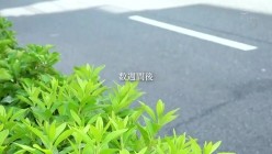ROE-571 截图10
