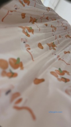 【精品CD】某房66RMB作品 极品无内学生妹！捂着裙子遮不住B外露 截图12