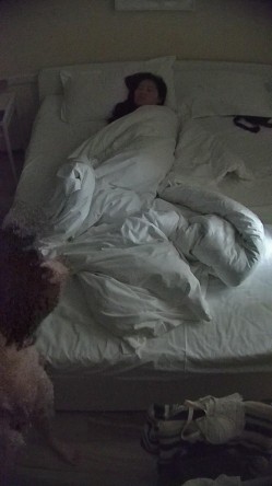 酒店偷拍 反差婊戴眼镜的骚女换开档黑丝和女仆装和男友尽情做爱 截图16