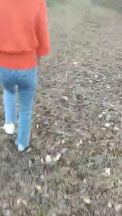 过年期间没有机会复工后赶紧约会漂亮小姨子偸情户外打野战完美露脸拿着三脚架扶着枯树激情后入无套内射 截图1