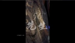 牧风人妻【真实高质量换妻】网上招来优质猛男来操自己的长腿黑丝老婆，他则在一旁兴奋地录像，老婆被操越狠他越兴奋加入3P 截图10