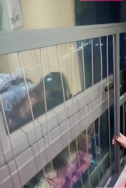 原创小姨子的秘密小姨子化身黑丝淫魔阴道夹爆樱桃喂姐夫香蕉插穴后被无套内射 截图14