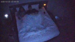 酒店偷拍反差婊眼镜妹子换上黑丝情趣睡衣配合男友69互舔口爆后入 截图2