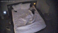 酒店偷拍反差婊眼镜妹子换上黑丝情趣睡衣配合男友69互舔口爆后入 截图8