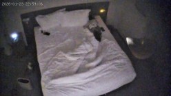 酒店偷拍反差婊眼镜妹子换上黑丝情趣睡衣配合男友69互舔口爆后入 截图9