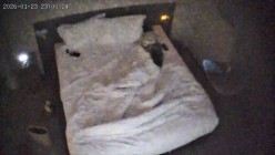 酒店偷拍反差婊眼镜妹子换上黑丝情趣睡衣配合男友69互舔口爆后入 截图10
