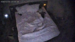 酒店偷拍反差婊眼镜妹子换上黑丝情趣睡衣配合男友69互舔口爆后入 截图13