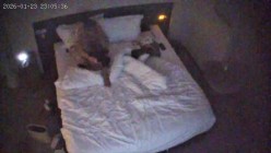 酒店偷拍反差婊眼镜妹子换上黑丝情趣睡衣配合男友69互舔口爆后入 截图14