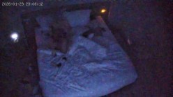 酒店偷拍反差婊眼镜妹子换上黑丝情趣睡衣配合男友69互舔口爆后入 截图16