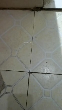 户外露出达人【御姐爱深喉】丝袜裸空从商场到图书馆再到超市裸空，周围人声鼎沸，玩得好刺激！ 截图7