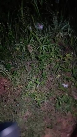 【剧情演绎】按摩推背 对白精彩，户外深夜车震，半推半就半强暴，无套狂艹，白汁染满整个大鸡巴十分刺激！ 截图5