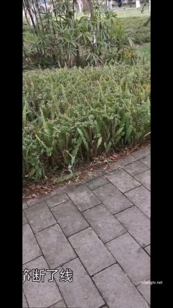 极限露出天花板，反差婊【风筝断了线】路边全裸自慰，买水果勾引老农，露点勾引外卖小哥 截图1