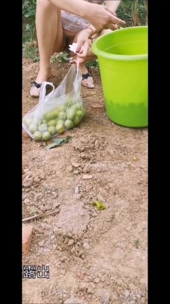 极限露出天花板，反差婊【风筝断了线】路边全裸自慰，买水果勾引老农，露点勾引外卖小哥 截图8