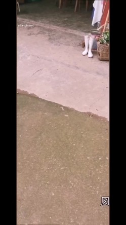 极限露出天花板，反差婊【风筝断了线】路边全裸自慰，买水果勾引老农，露点勾引外卖小哥 截图16
