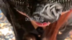 你的女神大佬的母狗~专业SM社区字母圈神人【DOM窒息】调教作品 粉丝投稿绝版全套~秒懂下 截图14