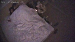 酒店偷拍 连续两天入住情侣气质甜美又身材不错的美女喜欢上位榨取男友精液 截图14