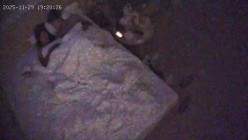 酒店偷拍 连续两天入住情侣气质甜美又身材不错的美女喜欢上位榨取男友精液 截图15