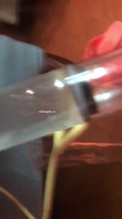 字母圈调教大神【Actor444】露脸母狗各种虐阴虐菊啪啪，花样多手法奇特 截图2