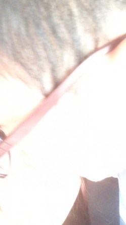 付费私密良家换妻交流群内部狼友分享视图  邀请年轻单男干成熟姐姐太疯狂了 截图6
