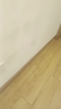 端庄大眼女友露脸椅子上，自己脱下内裤露出白虎穴，男友上来就舔逼，口交无套啪啪 截图1