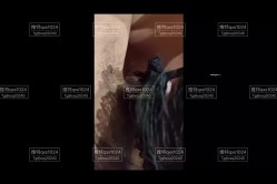 约啪大神【Q先森】网红良家约啪，1个半月，又约了不少极品妹妹 截图10