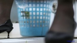 大型购物中心内部女厕偷拍 多位黑丝美女店员的各种极品美鲍鱼 截图10
