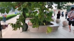 极品淫妻博主，【暧昧AIMEI】，夫妻交换，一起逛景点游玩一天，酒店内4P更有感觉，全程跟拍记录教科书 截图2