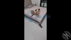 做过空姐模特的极品美腿少妇【爱穿丝袜的亲嫂子】跳蛋玩口交，一开遥控她就受不了，猛插几次就喷水【两连喷】至少喷5次 截图1