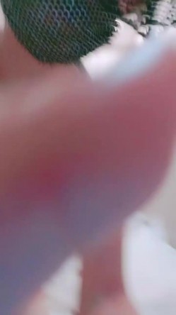 红唇大奶少妇浴室洗澡学生制服自慰啪啪，翘起大屁股扭动震动棒后入，特写口交舔屌骑上来自己动浴室跪地口交 截图16
