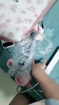 眼镜大学生 字母圈玩家【SM小师妹】过膝黑丝 奶子拔罐 大黑牛插屄里 扇脸 淫语不断 截图3