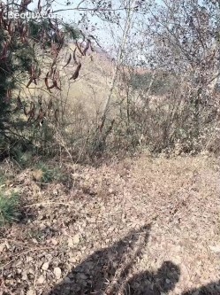 长春白城夫妻，天空晴朗，阳光艳人，带着媳妇郊外车震，水真多，鸡巴都是水了，第三部！ 截图12