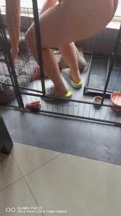 【极品流出 ️恋爱性陷阱】圈养调教大学母狗『二月』无下限性开发实录 完美曝光真实还原母狗成长变化 截图11
