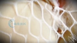 乱伦大神《姐姐的奶味》孕晚期的姐姐越来越骚 弄的我有点承受不了了 截图5
